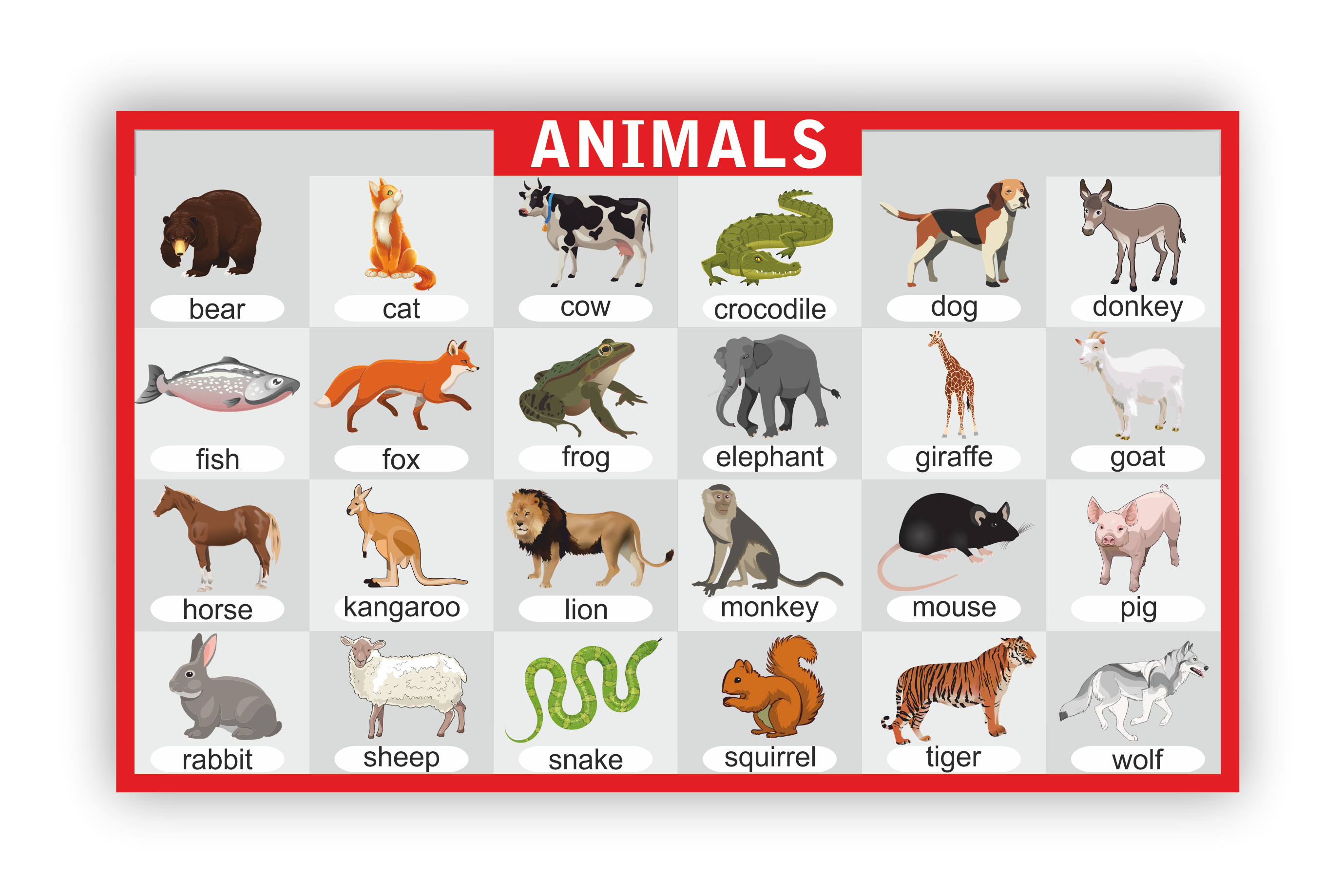 Имя animals