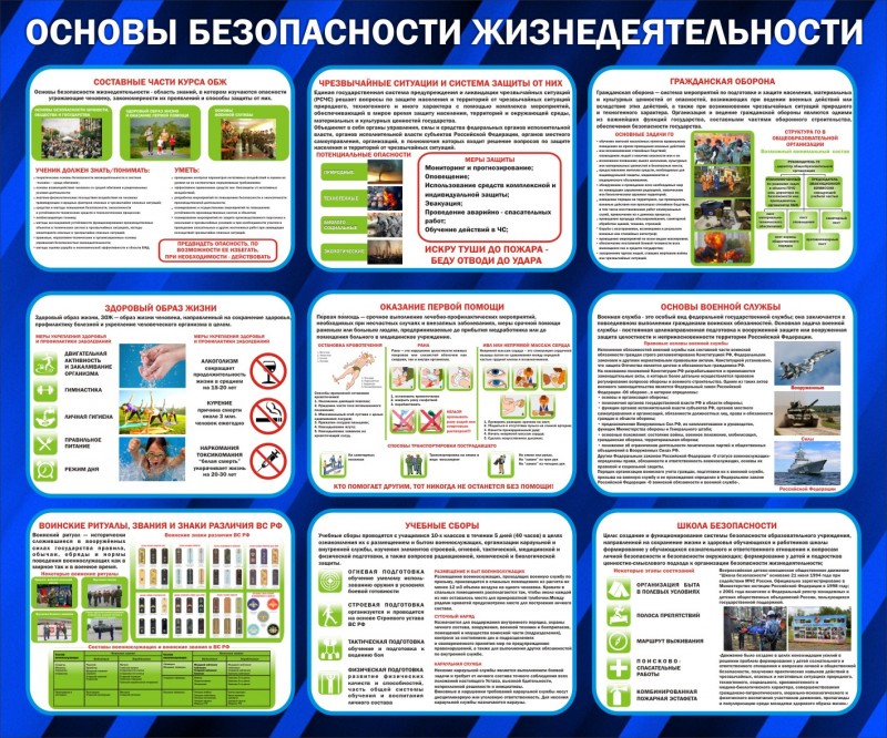 Безопасность жизнедеятельности в россии