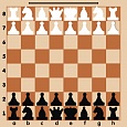 Шахматная демонстрационная доска магнитная 60*60см + шахматные фигуры арт. 2934