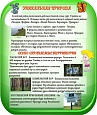 Патриотический стенд для Сосновского района ПРИРОДА 0,45*0,53м арт. 5229