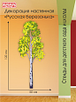 Декорация настенная "Березка", 0,5*1,2 м, арт. ДЕК2330