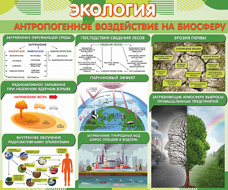 Проект для колледжа по биологии